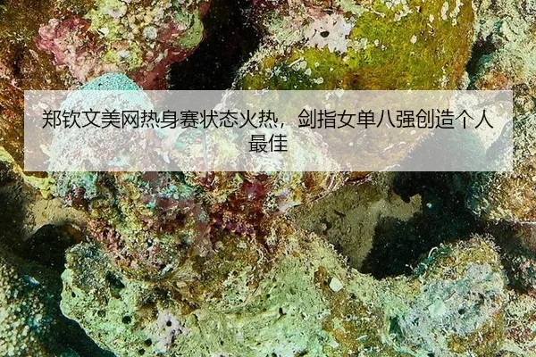 郑钦文美网热身赛状态火热，剑指女单八强创造个人最佳